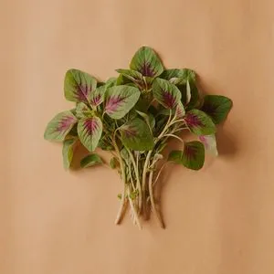 Amaranth greens