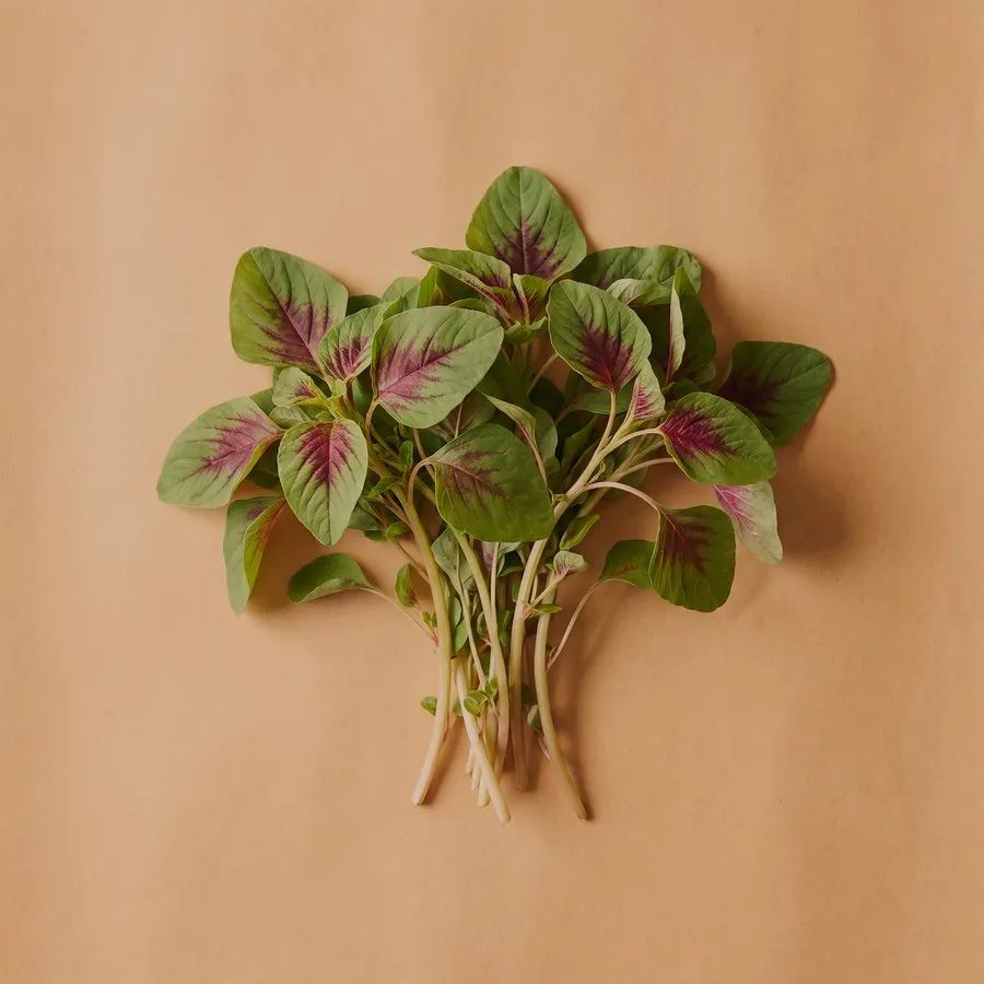 Amaranth greens