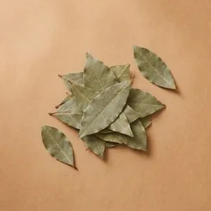 Bay leaf