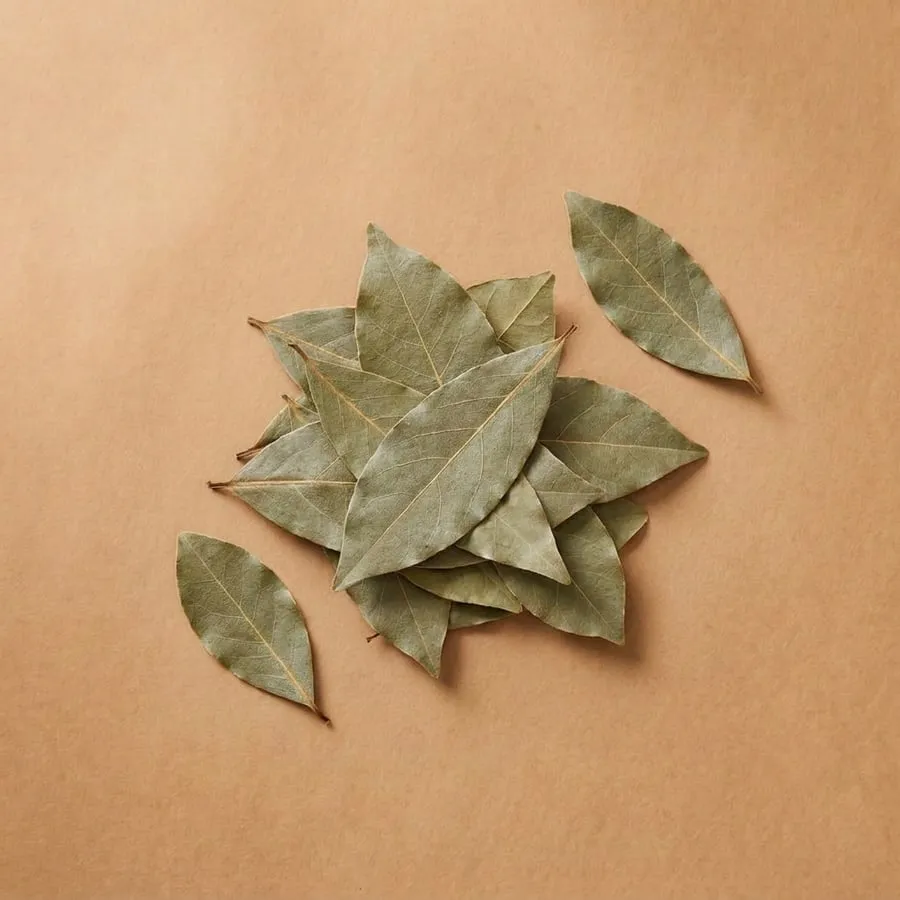 Bay leaf