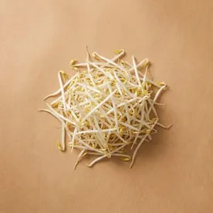 Bean sprouts