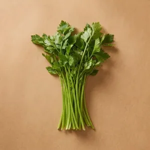 Chinese celery