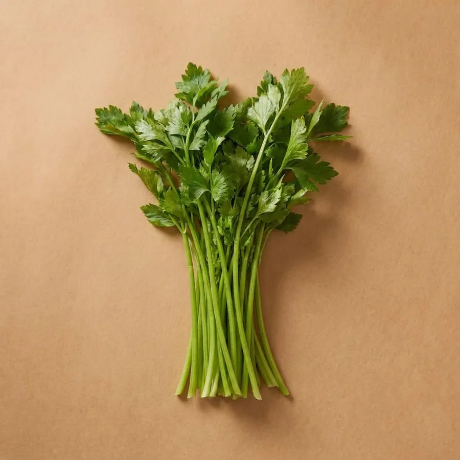 Chinese celery