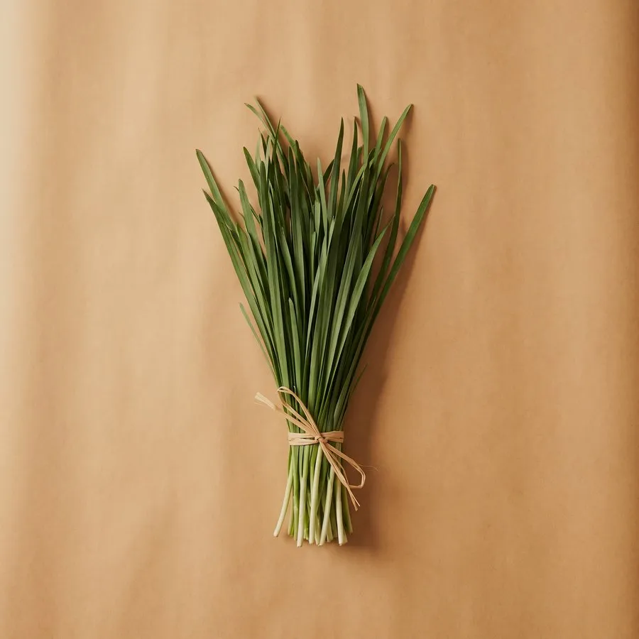 Chinese chives