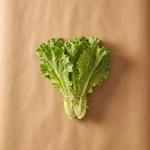 Chinese lettuce