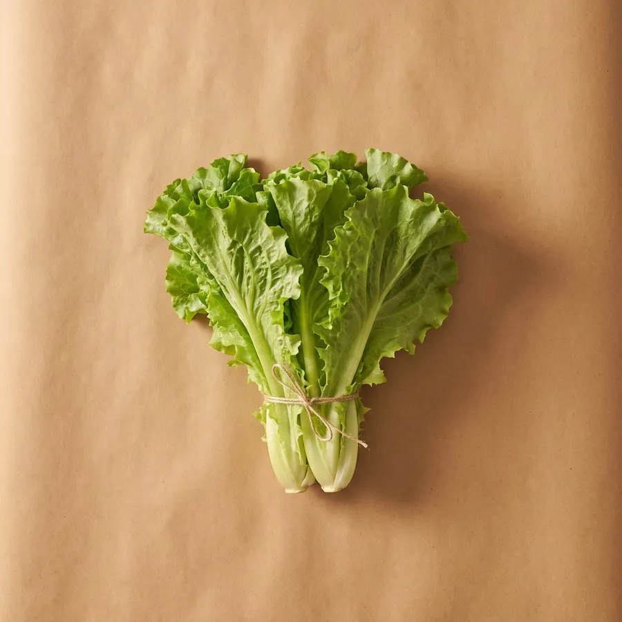 Chinese lettuce