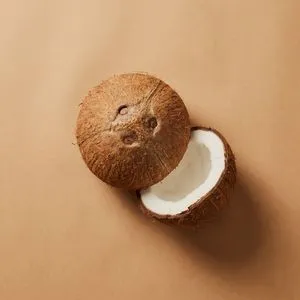 Coconut