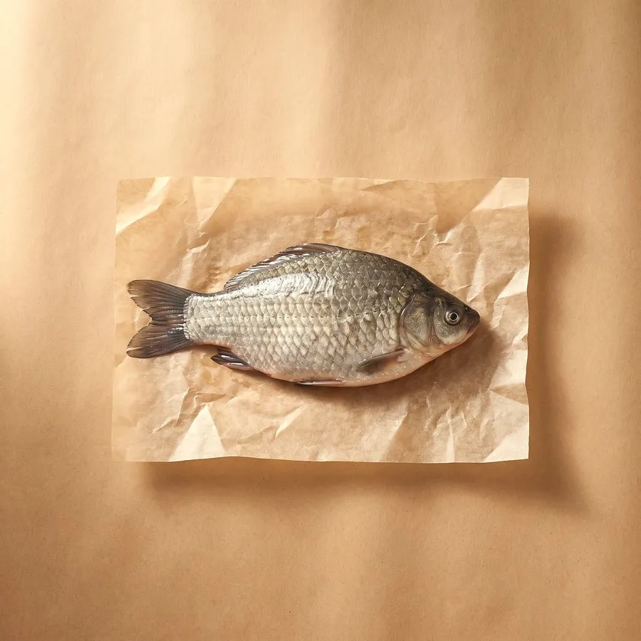 Crucian carp