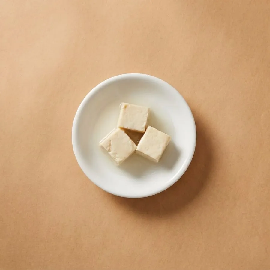Fermented bean curd