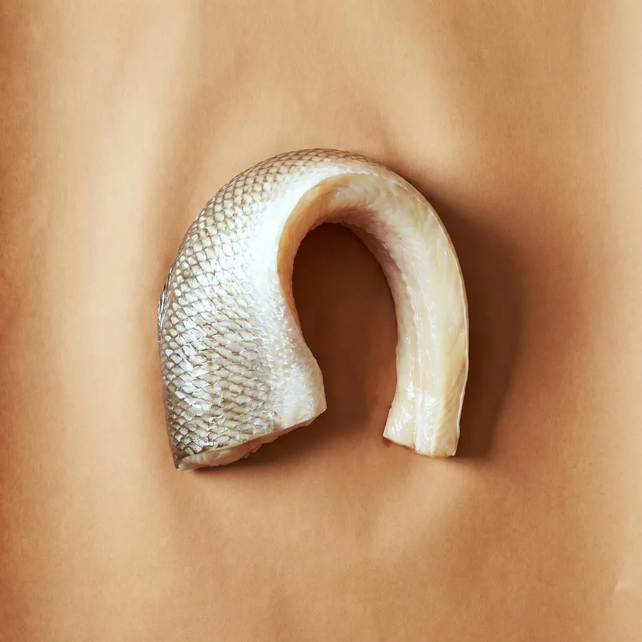Fish belly