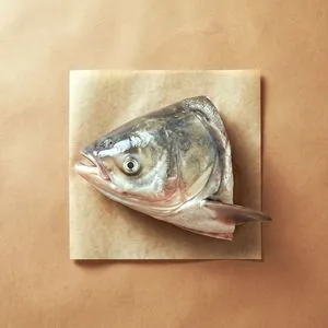 Fish head