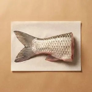 Fish tail