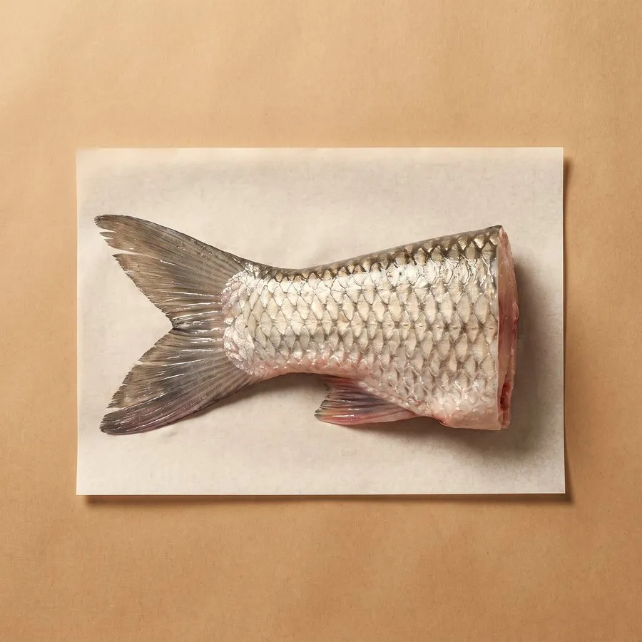 Fish tail