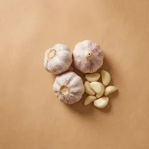 Garlic