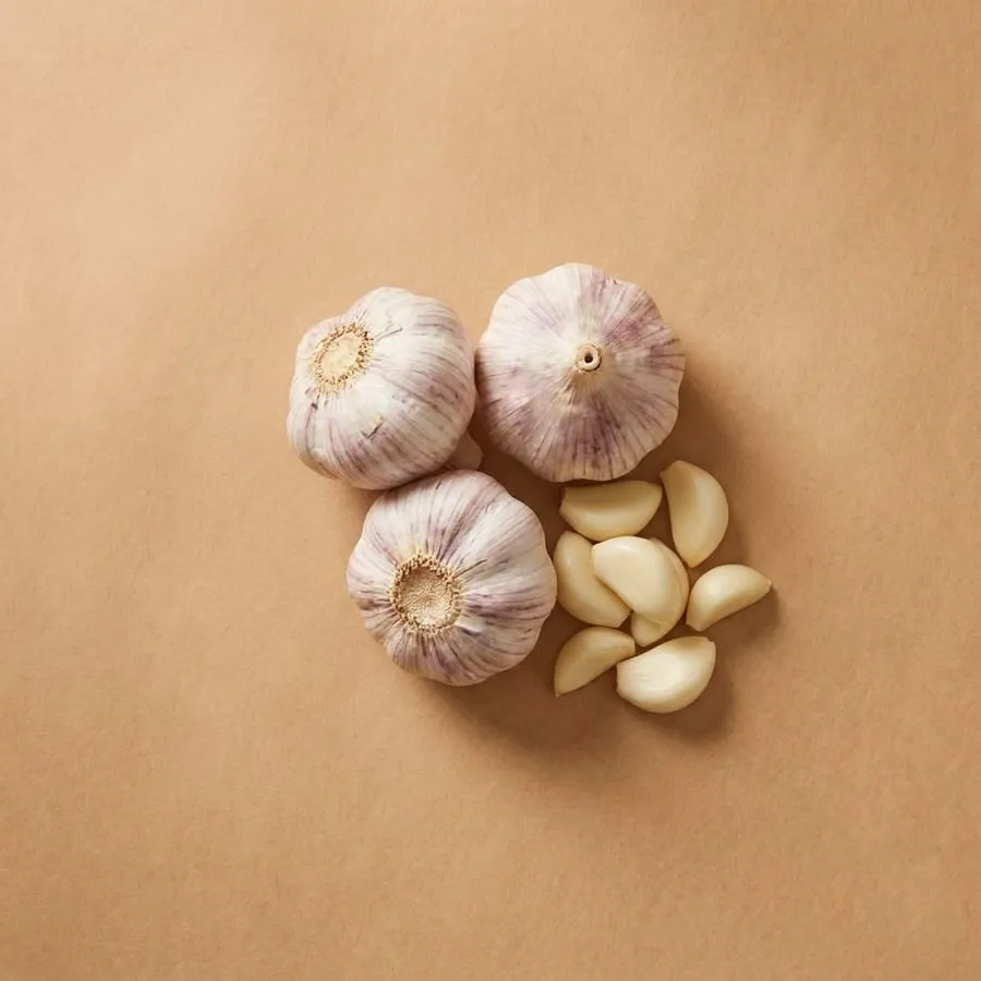 Garlic