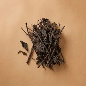 Grass-jelly herb