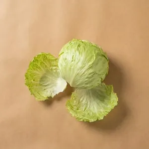 Iceberg lettuce