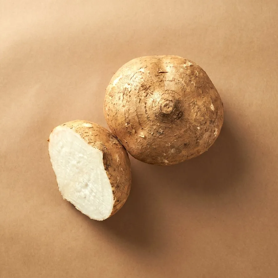 Jicama / yam bean