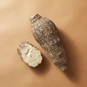 Kudzu root