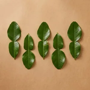 Lime leaves