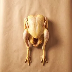 Old hen (stewing chicken)
