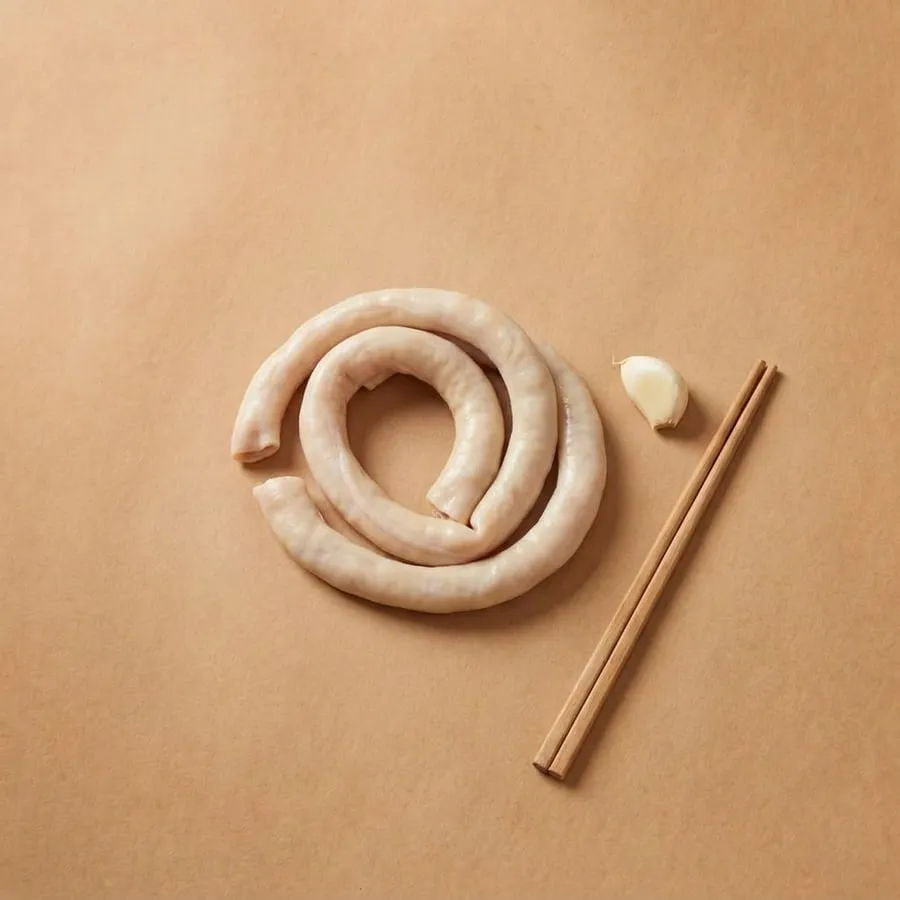 Pig's small intestine (duodenum)