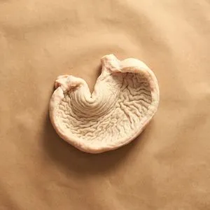 Pork stomach (tripe)