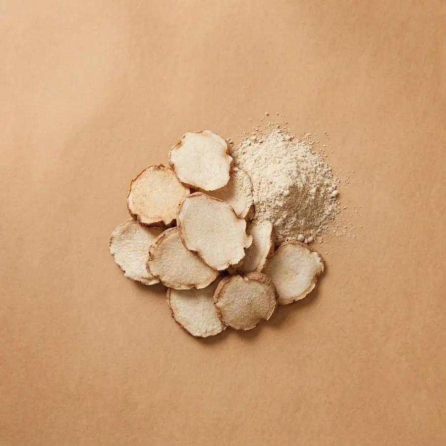 Sand ginger