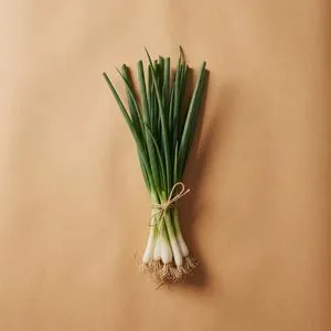 Spring onion / scallion