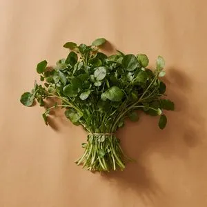 Watercress