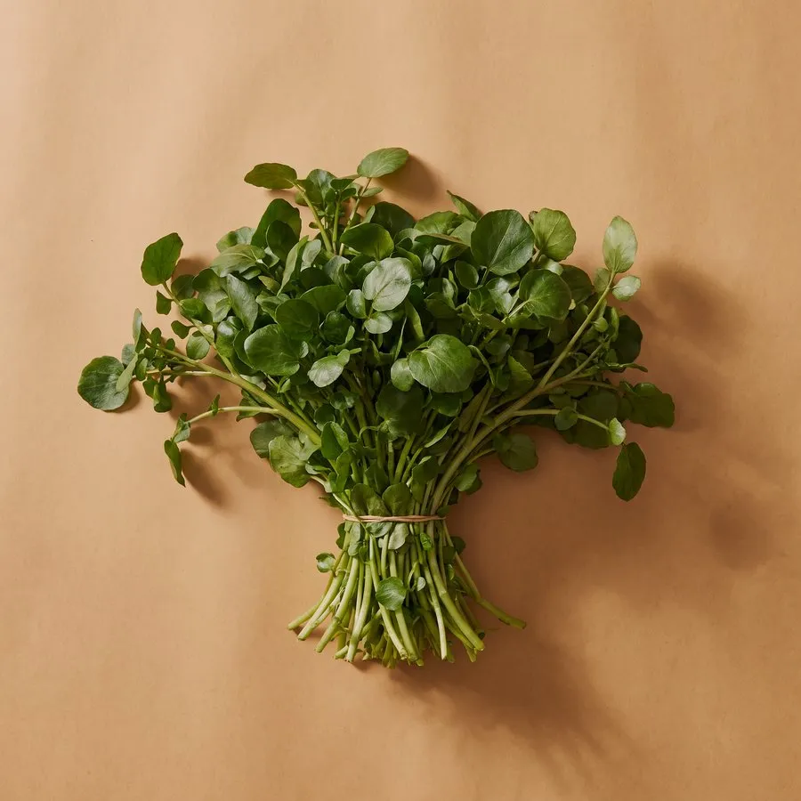 Watercress