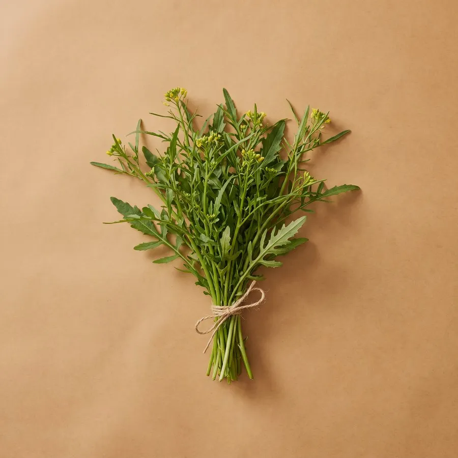 Yellowcress / marsh cress